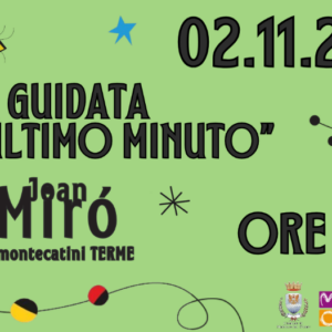 visita guidata mirò